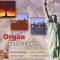 Martin Bambauer - Organ Landscapes - Improvisationen für Orgel